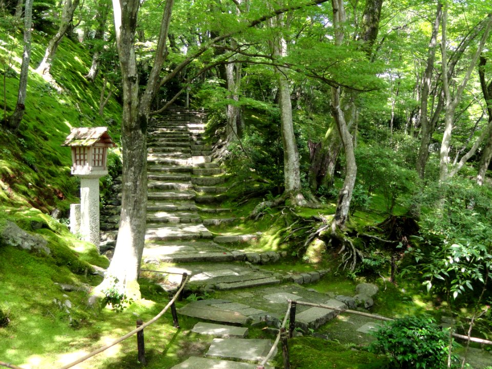 Jojakkoji - Kyoto - DSC06143