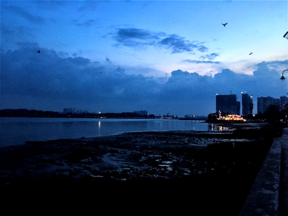 Johor Straits 5