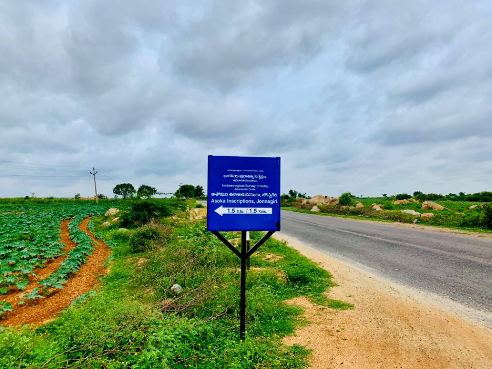 Jonnagiri Erragudi Yerragudi Asoka Inscription site, Andhra Pradesh India - 1