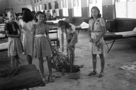 Jonge meisjes, sommigen in scoutingpadvinder uniform, in een ziekenzaal, Bestanddeelnr 5838