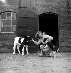 Jonge vrouw met kalfje en hond, Bestanddeelnr 252-1980