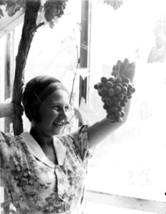 Jonge vrouw houdt druiventros omhoog in kwekerij J van den Berg in Poeldijk, Bestanddeelnr 252-0915 photo