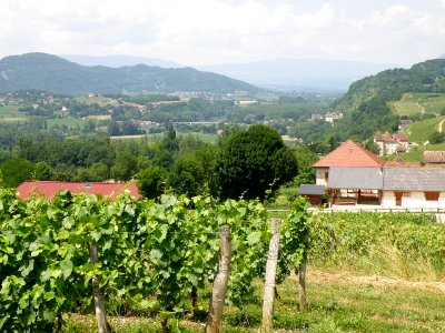Jongieux Vue générale 4
