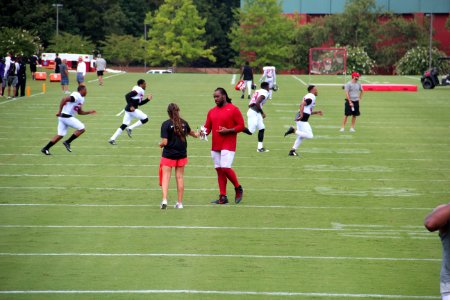 Jonathan Babineaux 2016 2