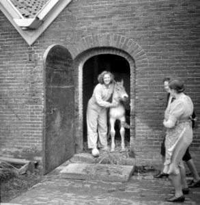Jonge vrouw met veulen, Bestanddeelnr 252-1957