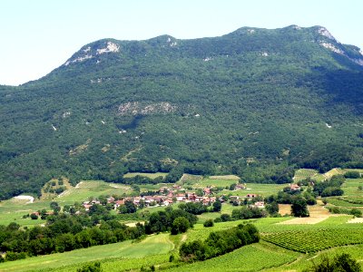 Jongieux-le-Haut 7