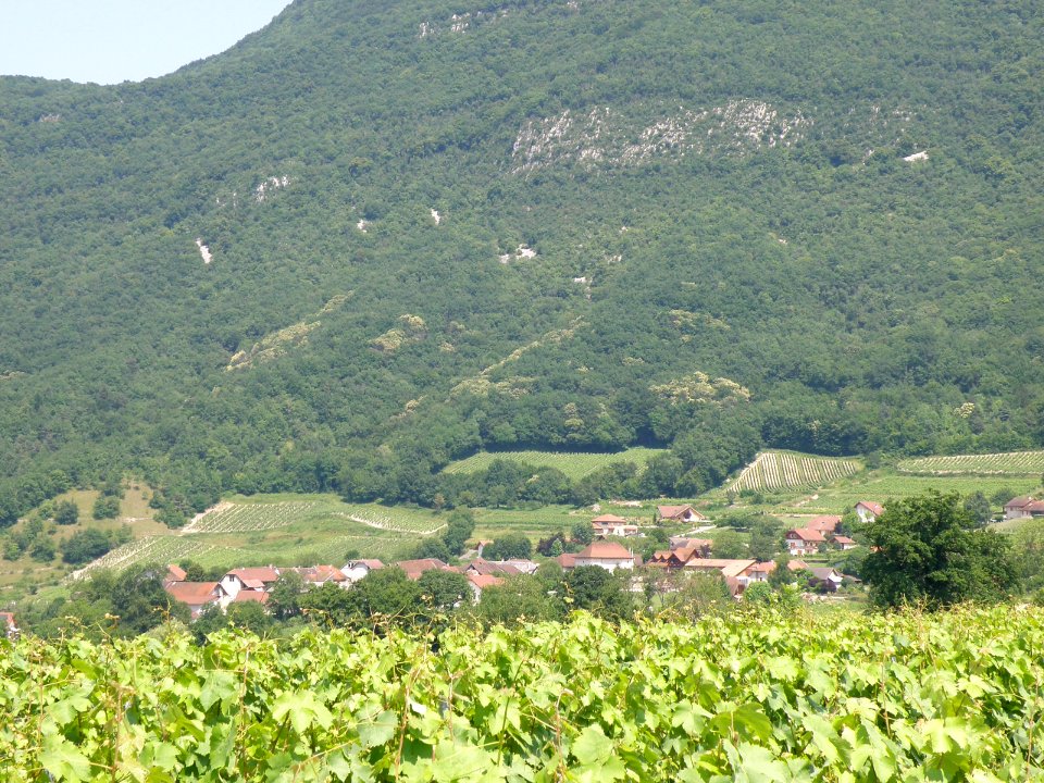 Jongieux-le-Haut 4