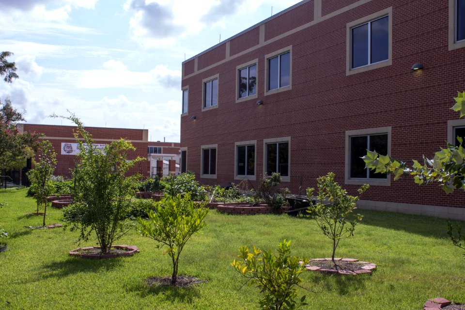 John H. Reagan High School - 08 - Garden