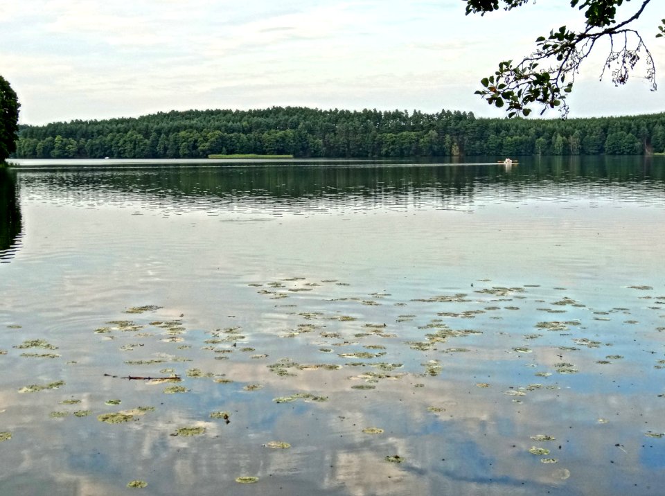 JezPlesno Drzewicz 1 08-2013