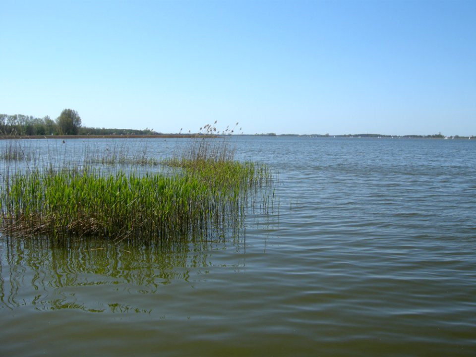 Jezioro berzyńskie 001