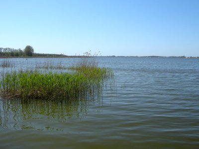 Jezioro berzyńskie 001