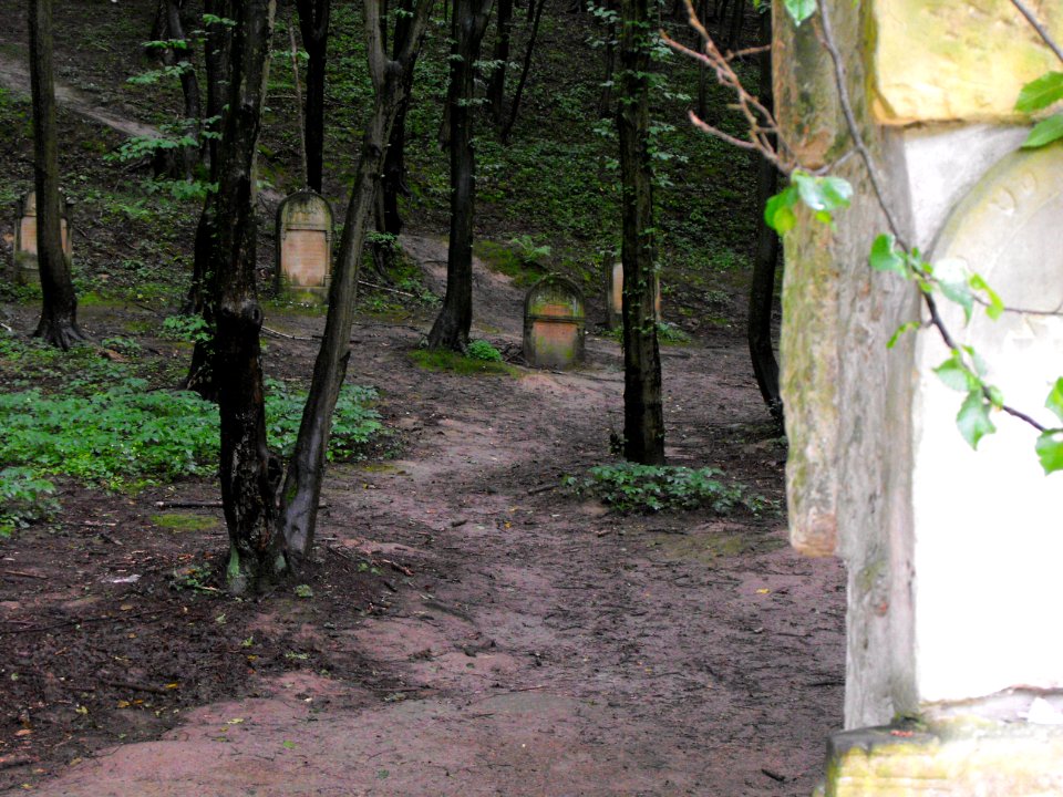 Jewish cemetery in Kazimierz Dolny 03
