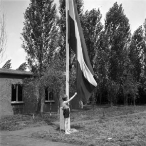 Jongen hijst Nederlandse vlag bij een barak, Bestanddeelnr 900-4889