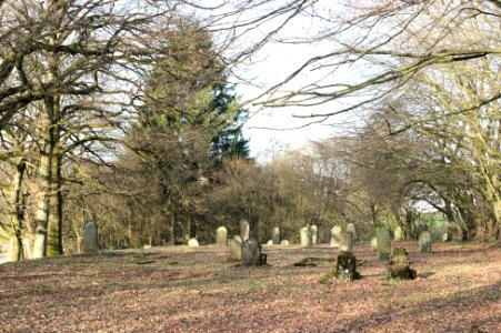 Jewish Graveyard Maxsain