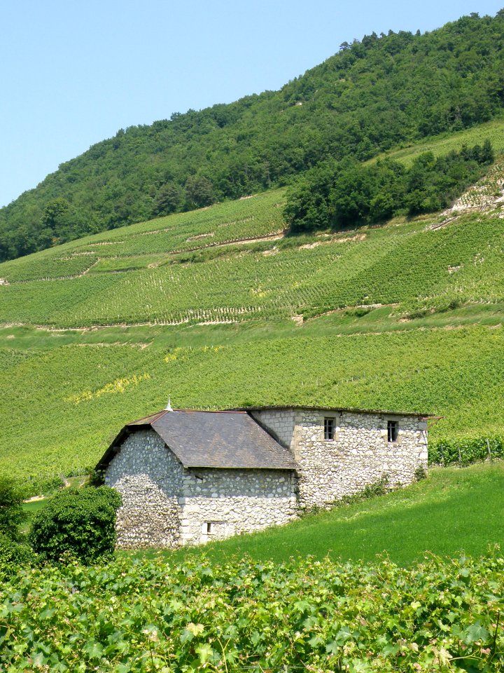 Jongieux Aimavigne 1