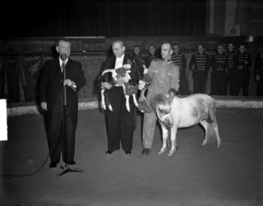 Jonge Prins Alex in Strassburgen, Bestanddeelnr 903-8188