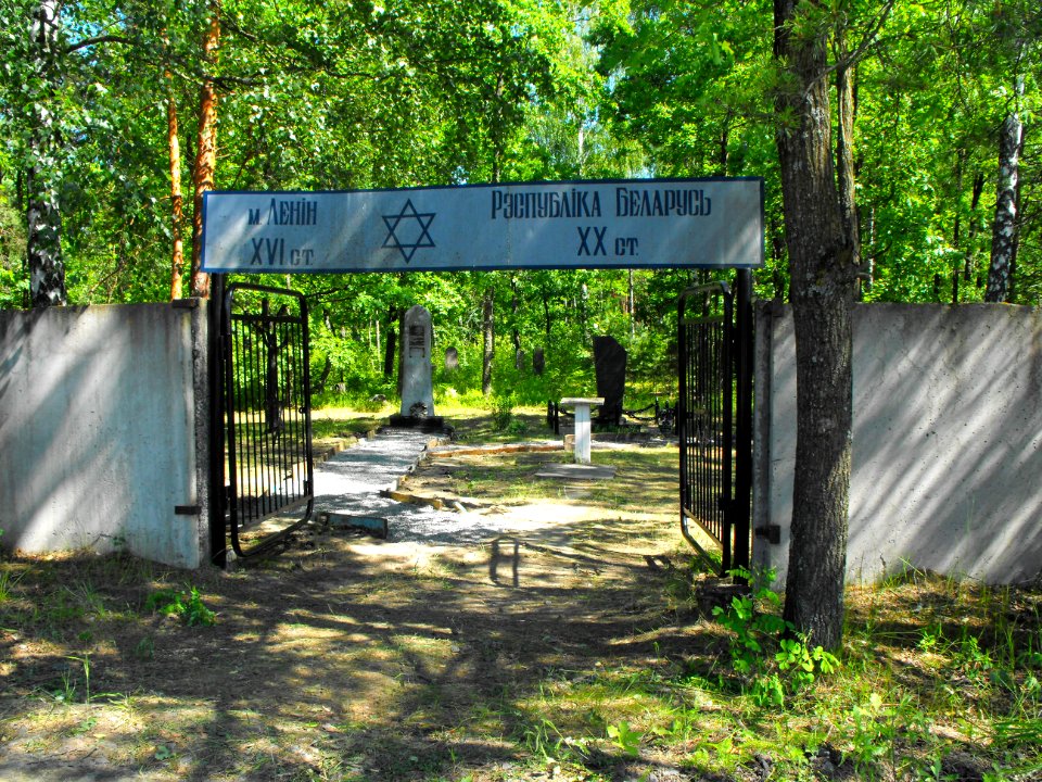 Jewish cemetery in Lenin (Zhytkavichy district) 1a