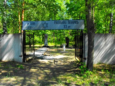 Jewish cemetery in Lenin (Zhytkavichy district) 1a