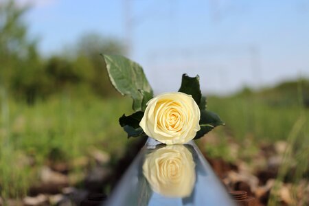 Railway exam stress academic stress