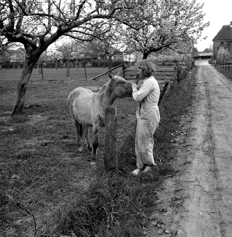 Jonge vrouw, in overal, met veulen, Bestanddeelnr 252-1959