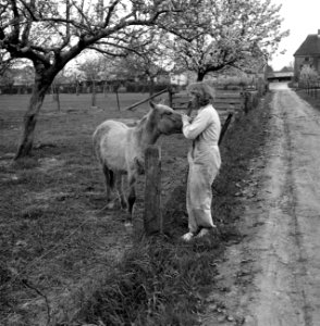 Jonge vrouw, in overal, met veulen, Bestanddeelnr 252-1959