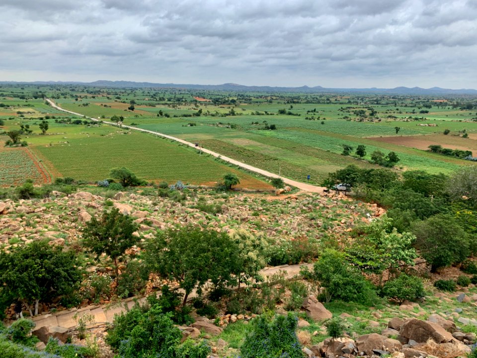 Jonnagiri Erragudi Yerragudi Asoka Inscription site, Andhra Pradesh India - 11