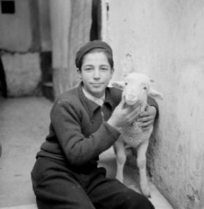 Jongen met lam, Bestanddeelnr 252-0068 photo
