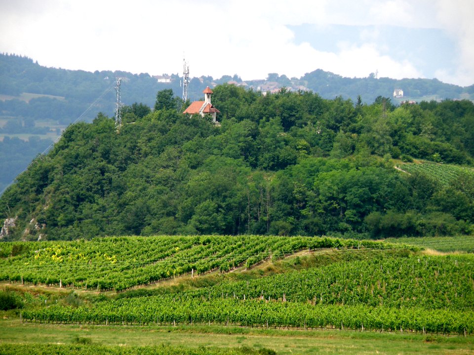 Jongieux Chapelle Saint-Romain 10