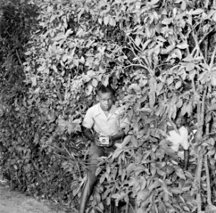 Jongen met fototoestel in de struiken, Bestanddeelnr 252-4220