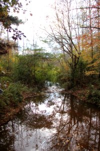 Johns Creek (Chattahoochee River) at Findley Road, Nov 2017