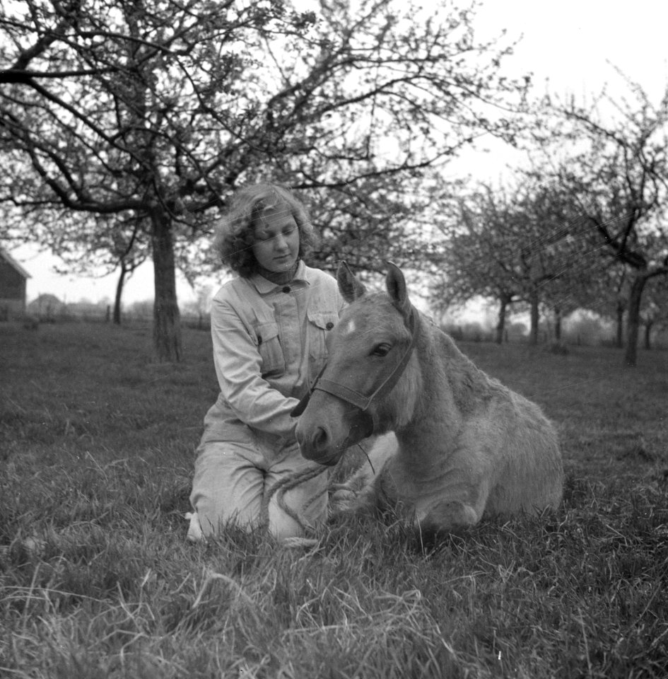 Jonge vrouw bij paard, Bestanddeelnr 252-1964