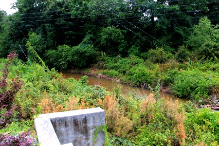 Johns Creek (Chattahoochee River)