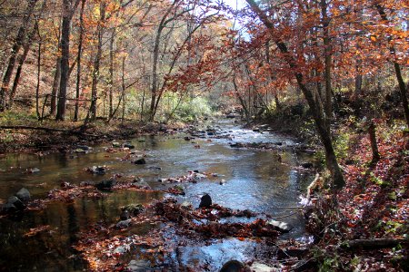 Johns Creek (Oostanaula River), Johns Mountain WMA, Nov 2017 1