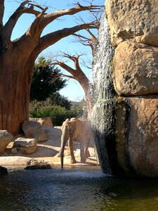 Shroud nature watering place