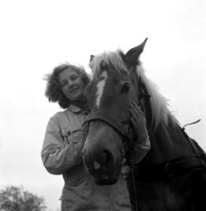 Jonge vrouw bij paard, Bestanddeelnr 252-1965