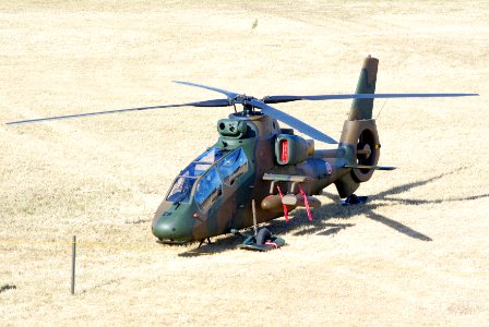 JGSDF OH-1 20120108-01