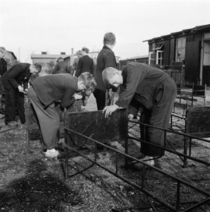 Jongens bezig met het in elkaar zetten van ledikanten, Bestanddeelnr 900-9832