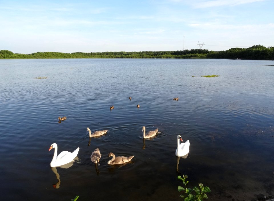 Jezuickie Male lake4 8-2015