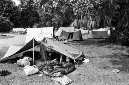 Jongeren met tenten in Vondelpark, Bestanddeelnr 924-7822