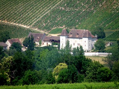 Jongieux Château de La Mar 4