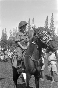 Jongetje in Nederlands uniform met helm op een paard, Bestanddeelnr 491-5-4