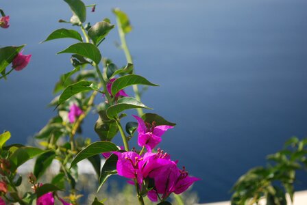 Overlook june italy
