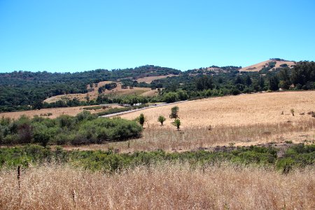 Joseph D. Grant County Park Aug 2019 1
