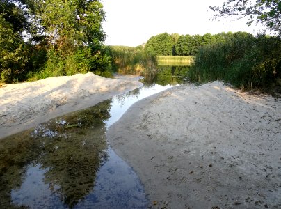 Jez Jezuickie przesmyk1 8-2015