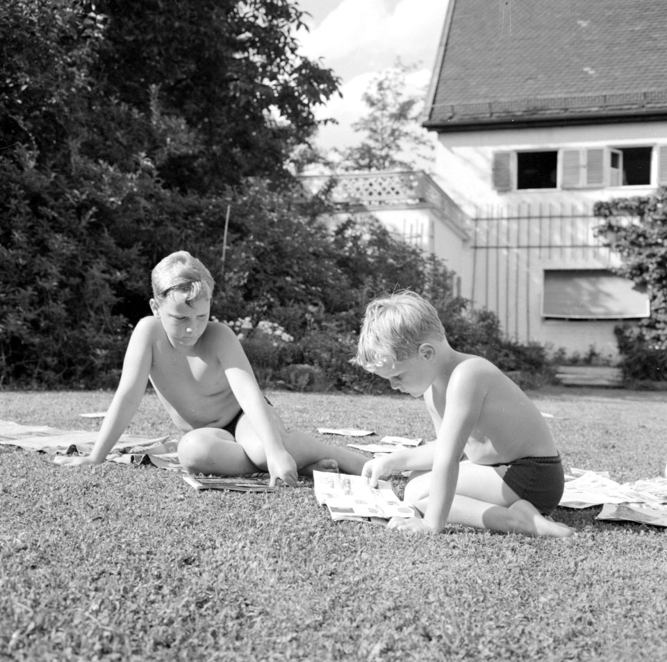 Jongens Kreisselmeier zitten op het gras te lezen in tijdschriften en modelbouwb, Bestanddeelnr 254-5004