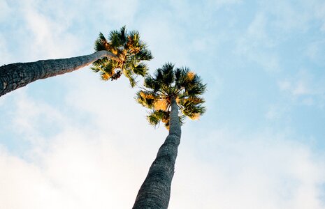 Sky pair vacation