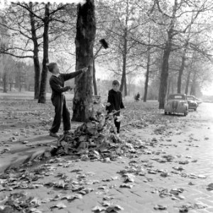 Jongens spelen met herfstbladeren, Bestanddeelnr 909-0868