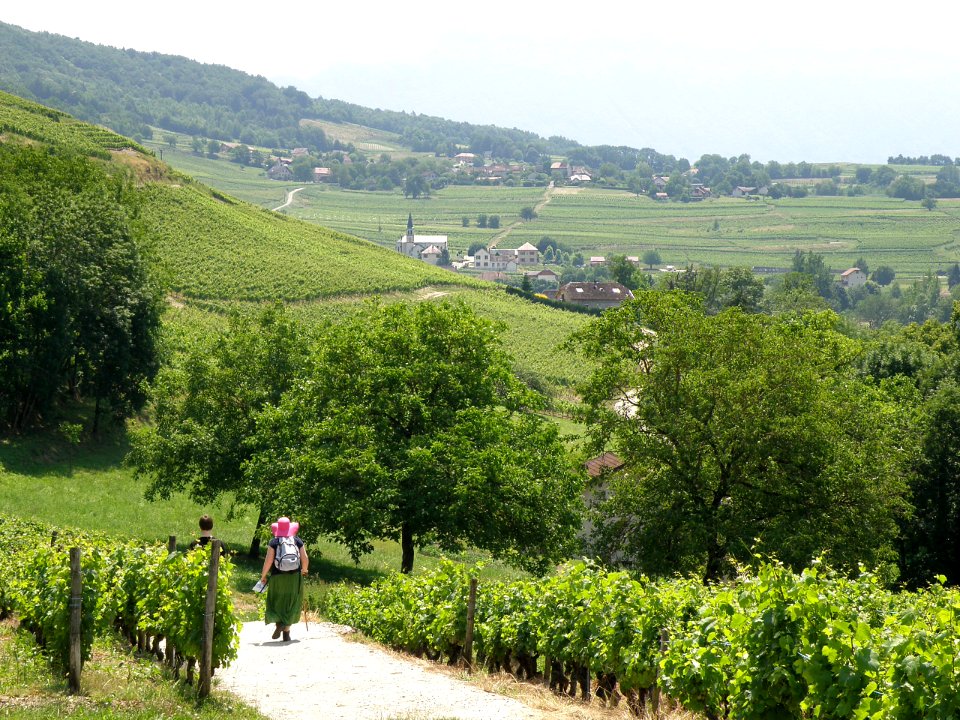 Jongieux Vue générale 2