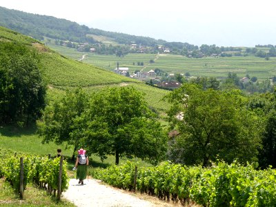 Jongieux Vue générale 2