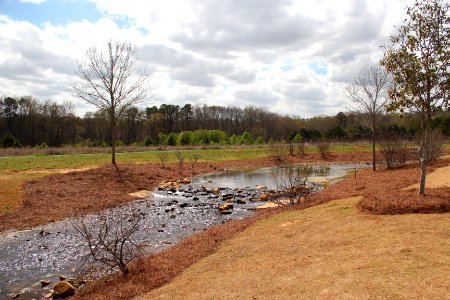 Johns Creek Environmental Campus - Creek
